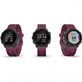 Часы GARMIN FORERUNNER® 245 черный с вишневым ремешком Часы GARMIN FORERUNNER® 245 черный с вишневым ремешком