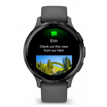 Смарт-часы GARMIN VENU 3S серый с темно-серым безелем